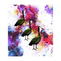 Birds - design