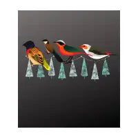 Birds - design
