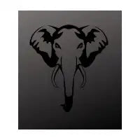 Elephant’s face - design