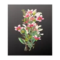 Flowers - design