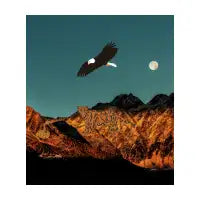 Nature - design