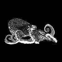 Octopus - design