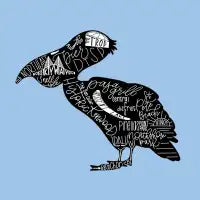 St Pete Pelican - design