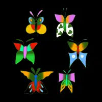 all gender : Butterflies - design