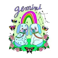 all gender : Gemini - design