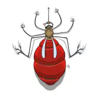 Mosquito Bite - design