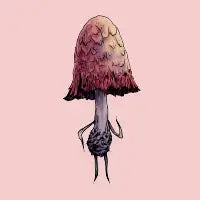 Shroom Five - design
