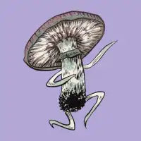 Shroom Four - design