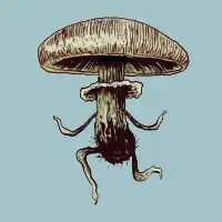 Shroom One - design