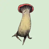 Shroom Seven - design
