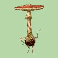 Shroom Three - design