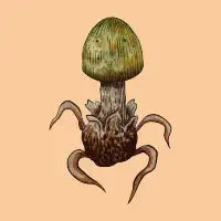 Shroom Two - design