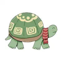 Cold Turtle - design