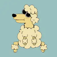 Cute Poodle Dog - design