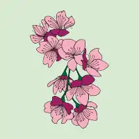 Cherry Blossom - design