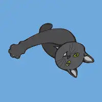 Loving Black Cat - design