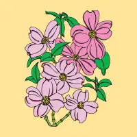 Pink Dogwoods - design