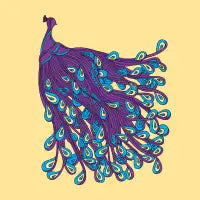 Purple Peacock - design