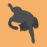 Sleeping Black Cat - design
