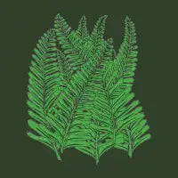 Sword Fern - design