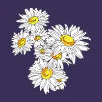 White Daisies - design
