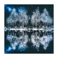 Winter Night - design