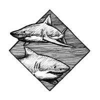 Angular - design