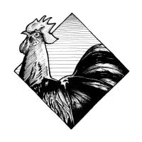 Chicken - design