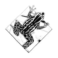 Poisonous - design