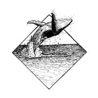 Whale - design