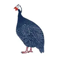 Guinea Fowl T-Shirt - design