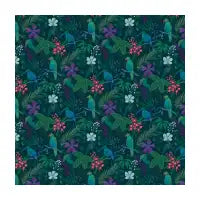 Night Birds - design