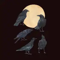 Ravens - design