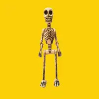 Skeleton - design