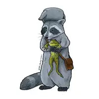 Gregory raccoon - design