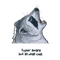 Hyper Aware Raccoon - design