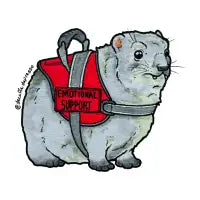 Support hyrax - design