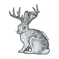Jackalope - design