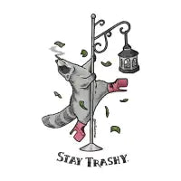 Pole Raccoon - design