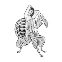Praying mantis pin-up - design