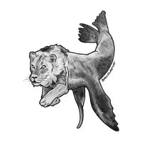 Sea lion - design