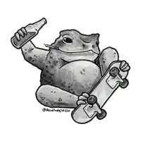 Skater frog - design