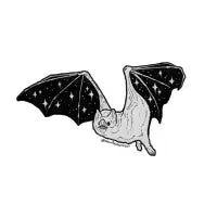 Sparkle bat - design