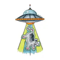 UFOpossum - design