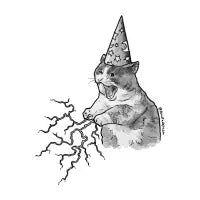 Wizard cat 2 - design