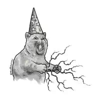 Wizard cat - design