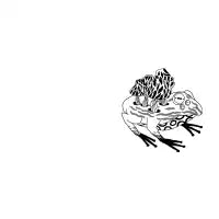Frog agaric - design