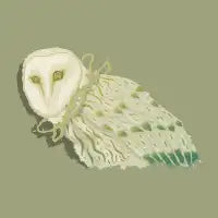 Thowl - design