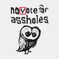 No Vote - design