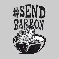 #SendBarron - design